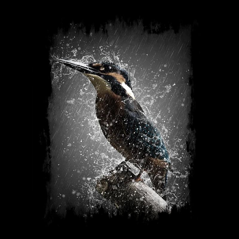 Oiseau sous la pluie