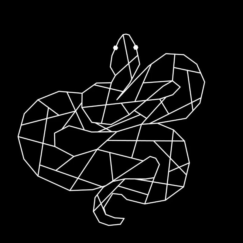 Geometric snake polygon reptile