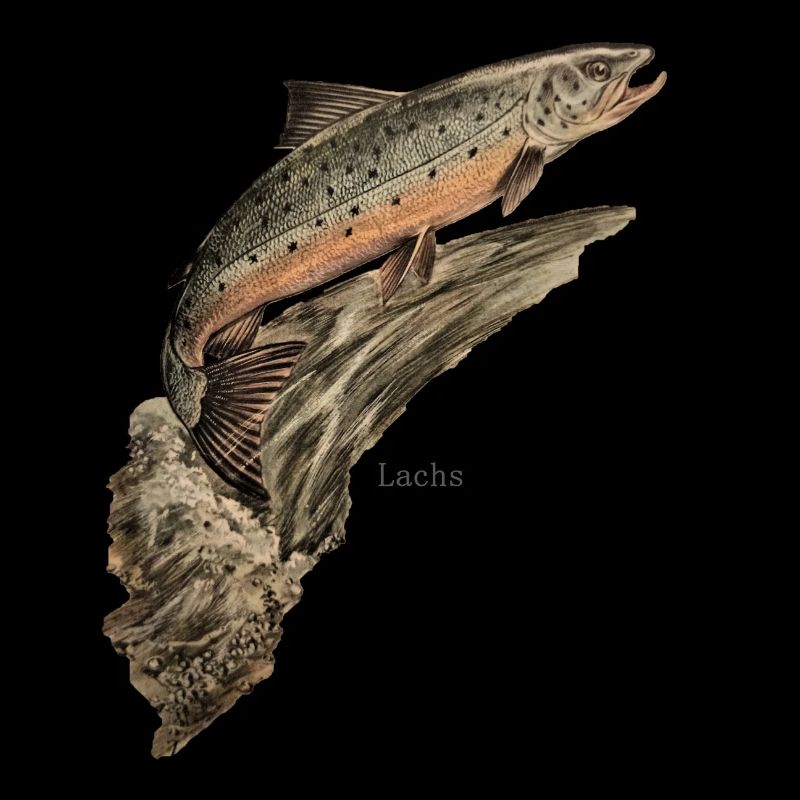 salmon