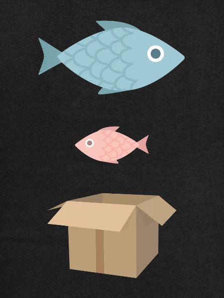 Big Fish, Little Fish, Cardboard Box