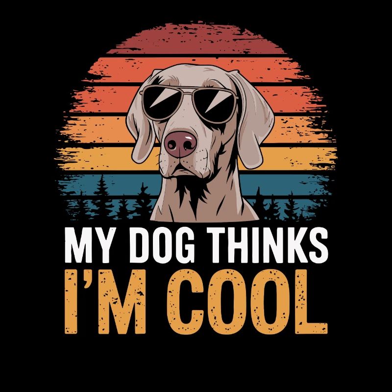 Weimaraner My dog thinks I'm cool