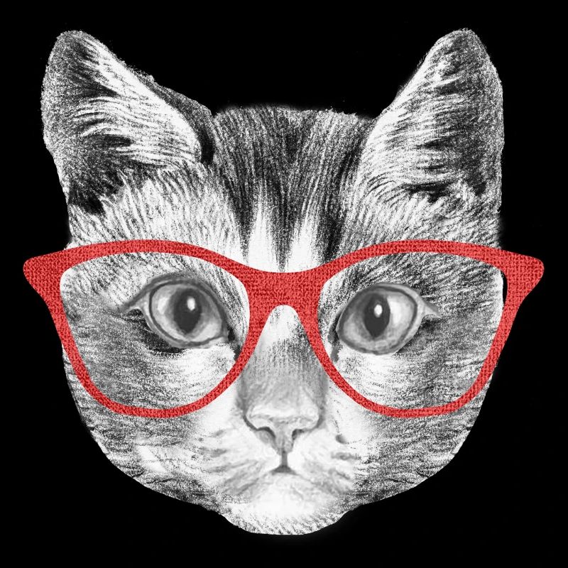 Katze mit Brille Kätzchen Katzendame