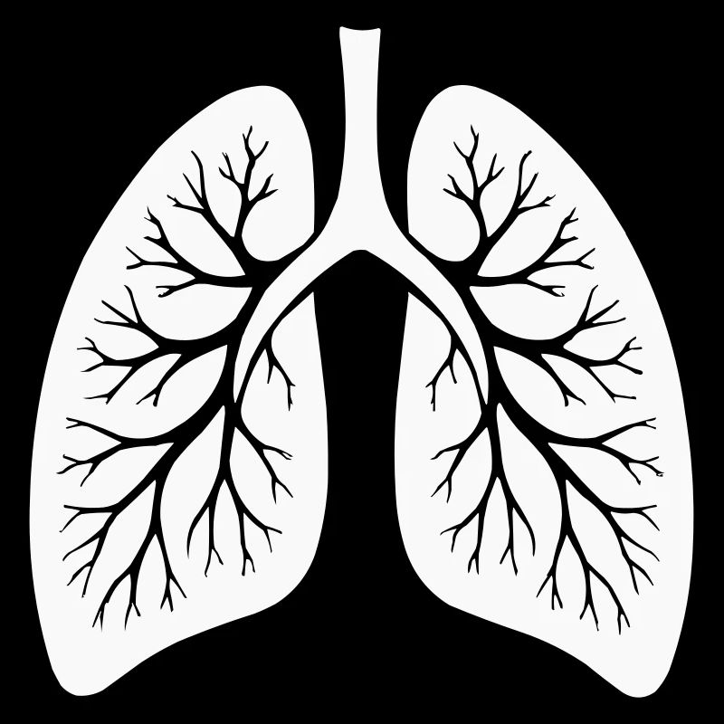 lung