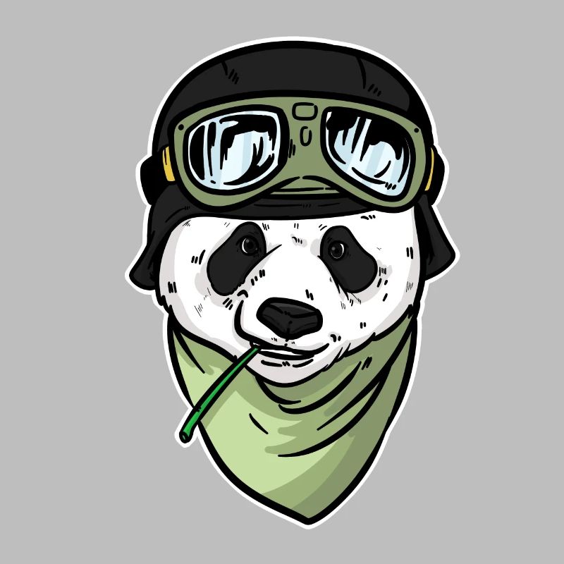 Panda bear pilot Panda hobby aviator for pilots