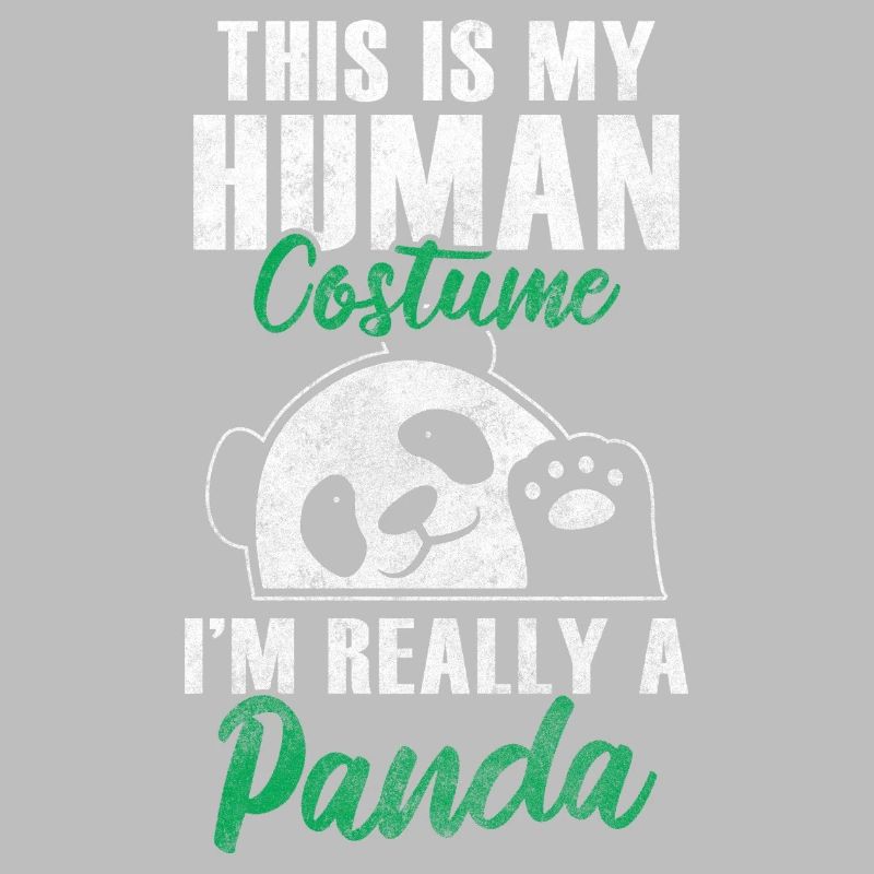 Panda Géant Panda Chine Mignon