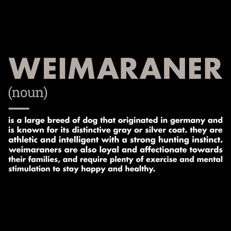 Weimaraner Definition