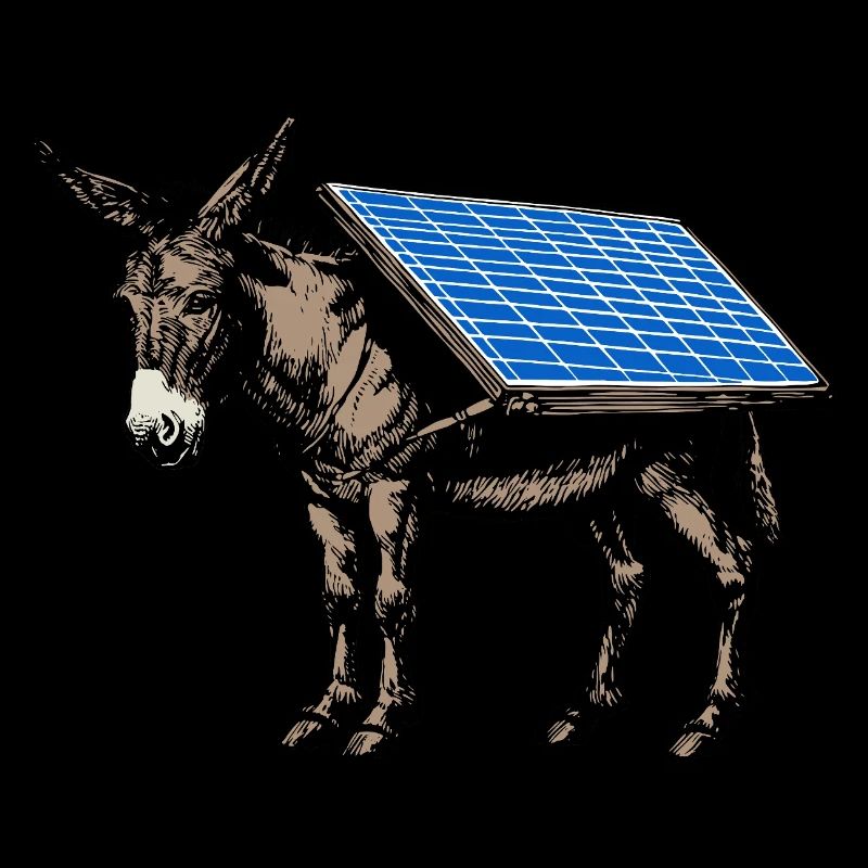 Solar - Donkey - Pack Animal, Pack Donkey, Solar Panel