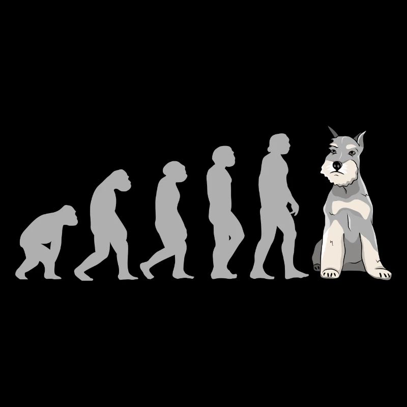 Evolution Schnauzer