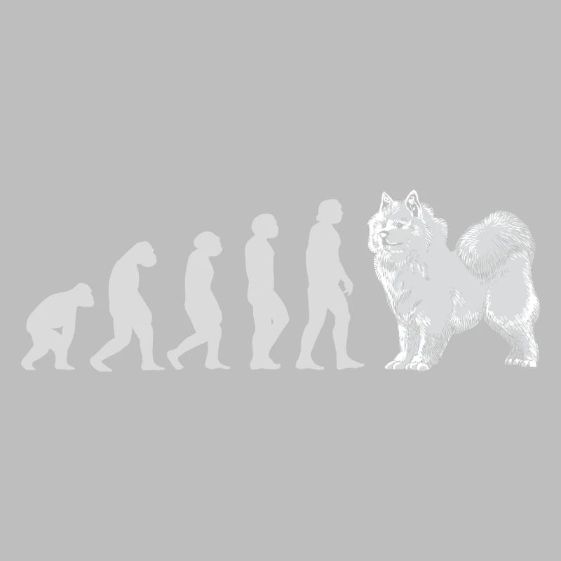 Evolution Samoyed