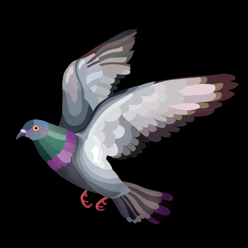 Taubenfliegen