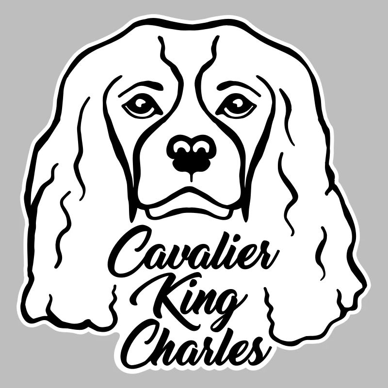 Cavalier King Charles