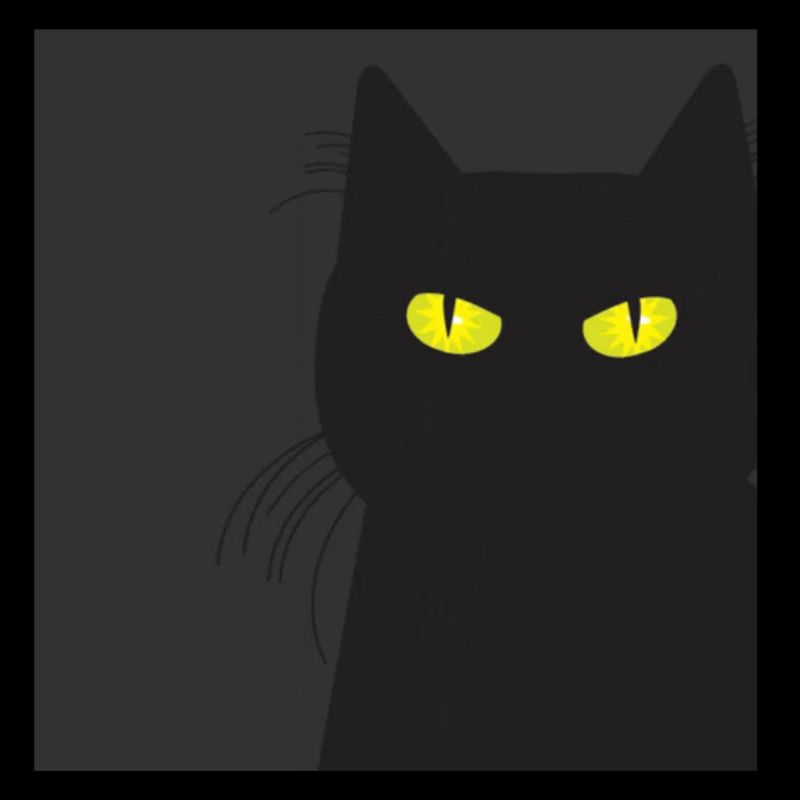 BLACK CAT VOUS REGARDE. Chat qui vous regarde !!