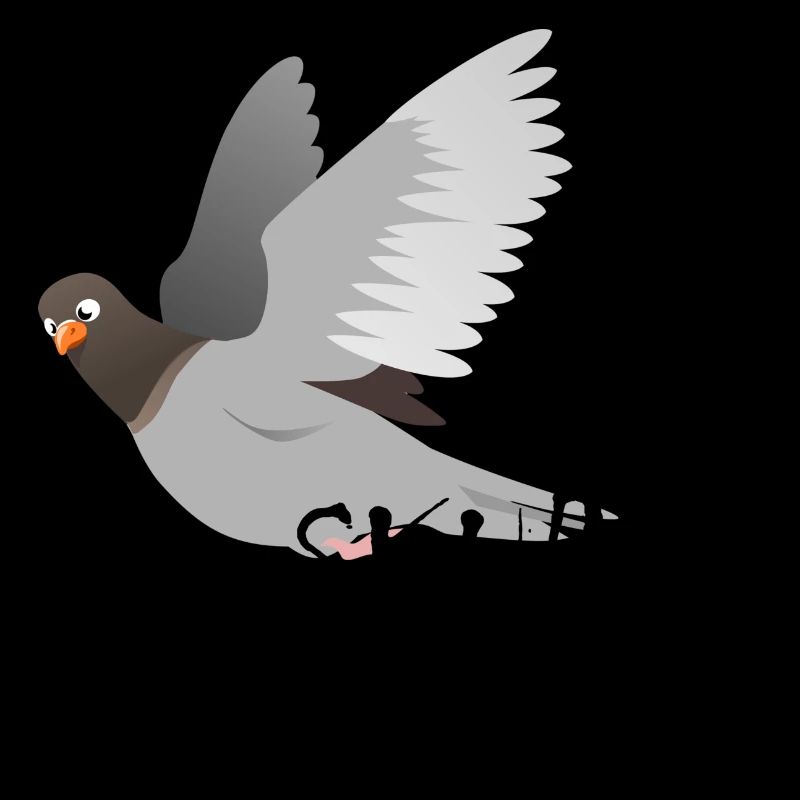 colombe