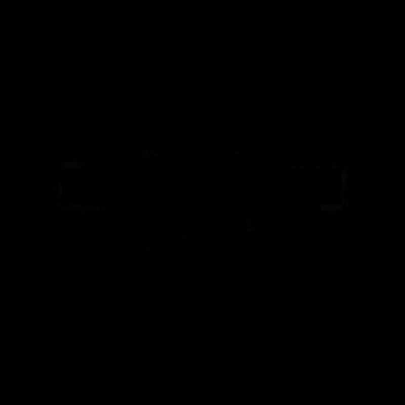 Osterwald Stern logo