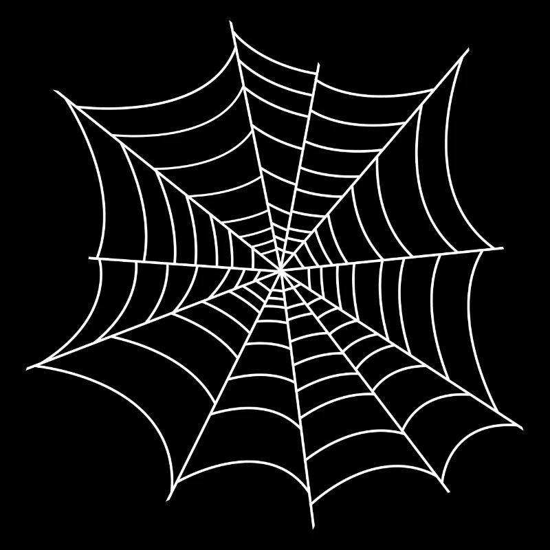 Netz 2