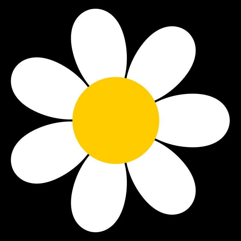 Fleur de marguerite