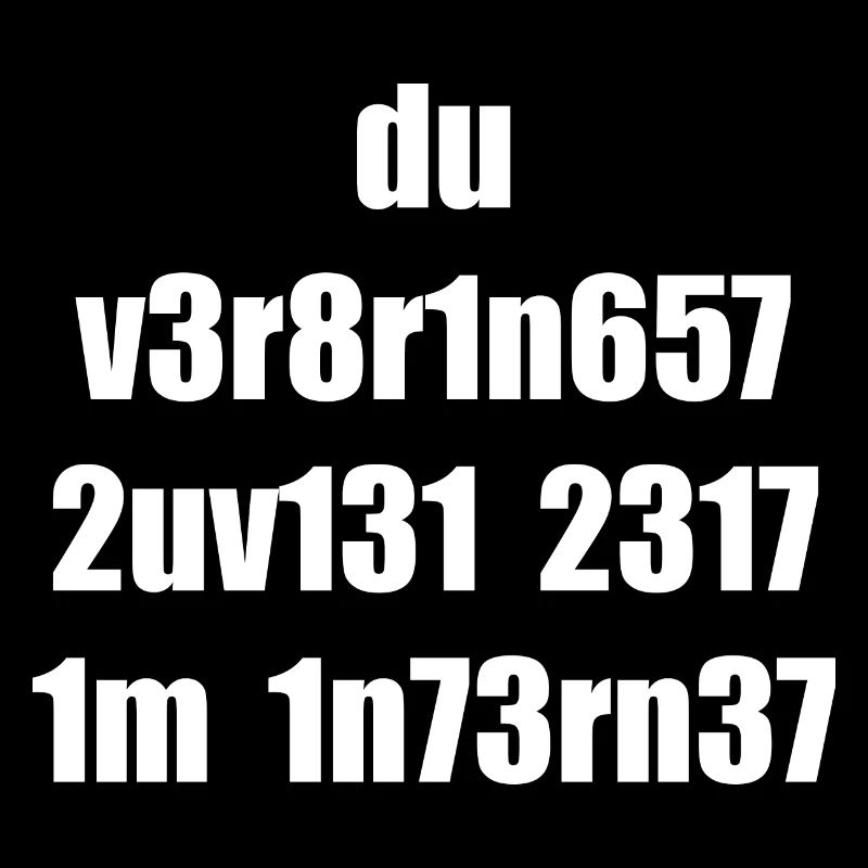 Nerd Internet Leet 1337