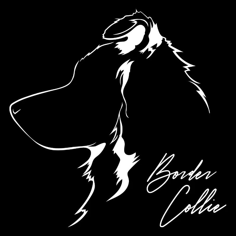 BORDER COLLIE Profil Hunde Hund Wilsigns