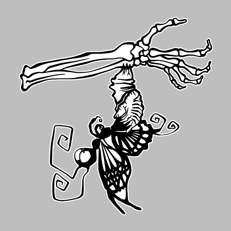 Papillon sort du cocon