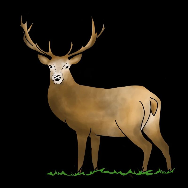 Hirsch