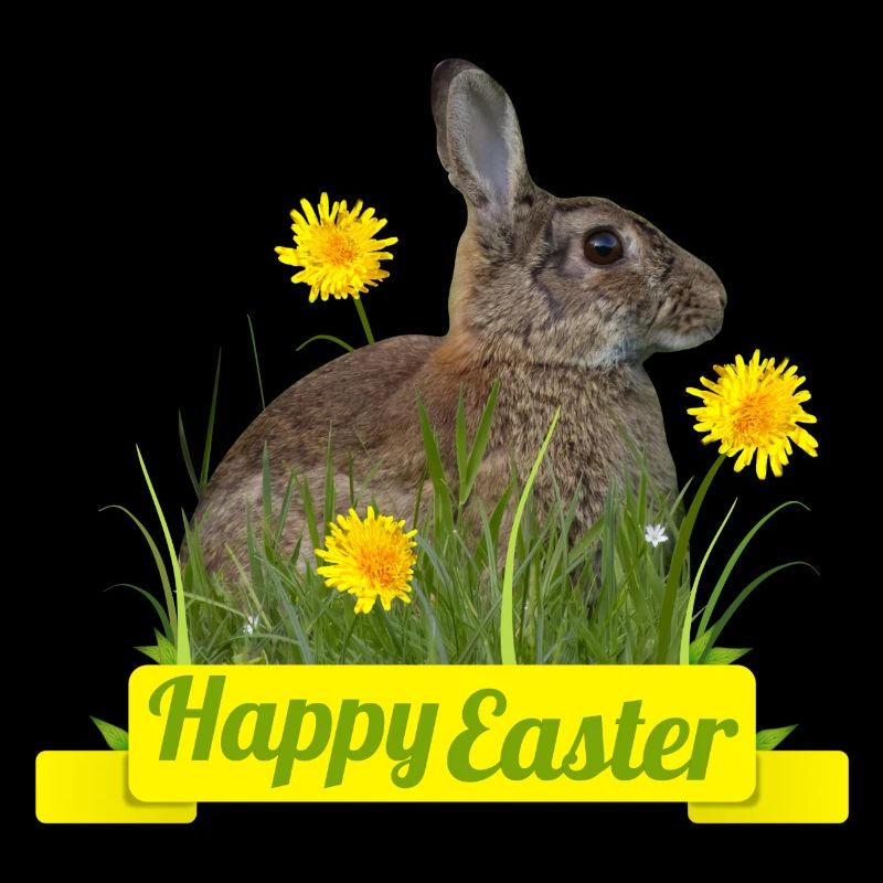 Happy Easter rabbit cony