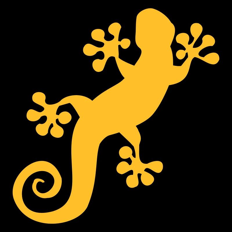 2020 08 06 gecko