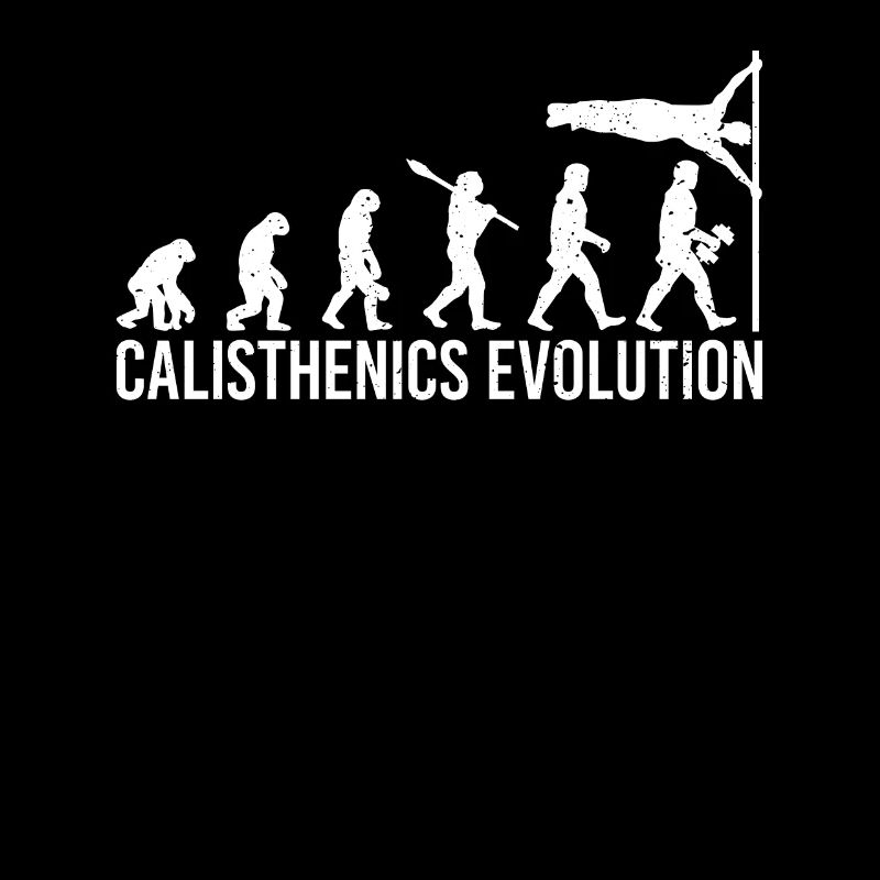 Entraînement Calisthenics Evolution Human Flag