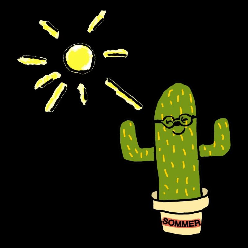 Summer sun cactus cactus
