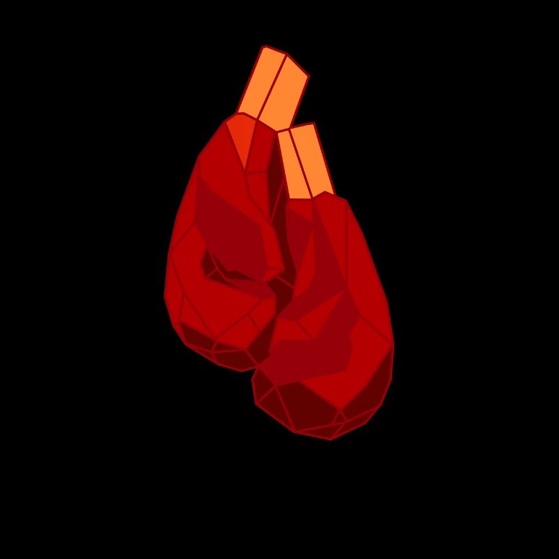 Boxen Boxkampf Boxer