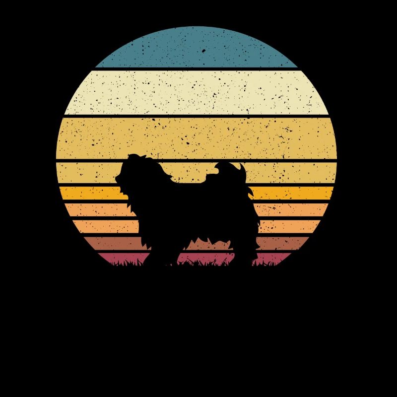 Havanese