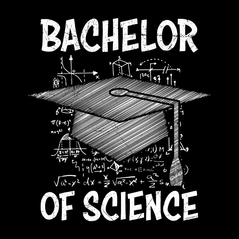 Bachelor of Science Mathematics Physics
