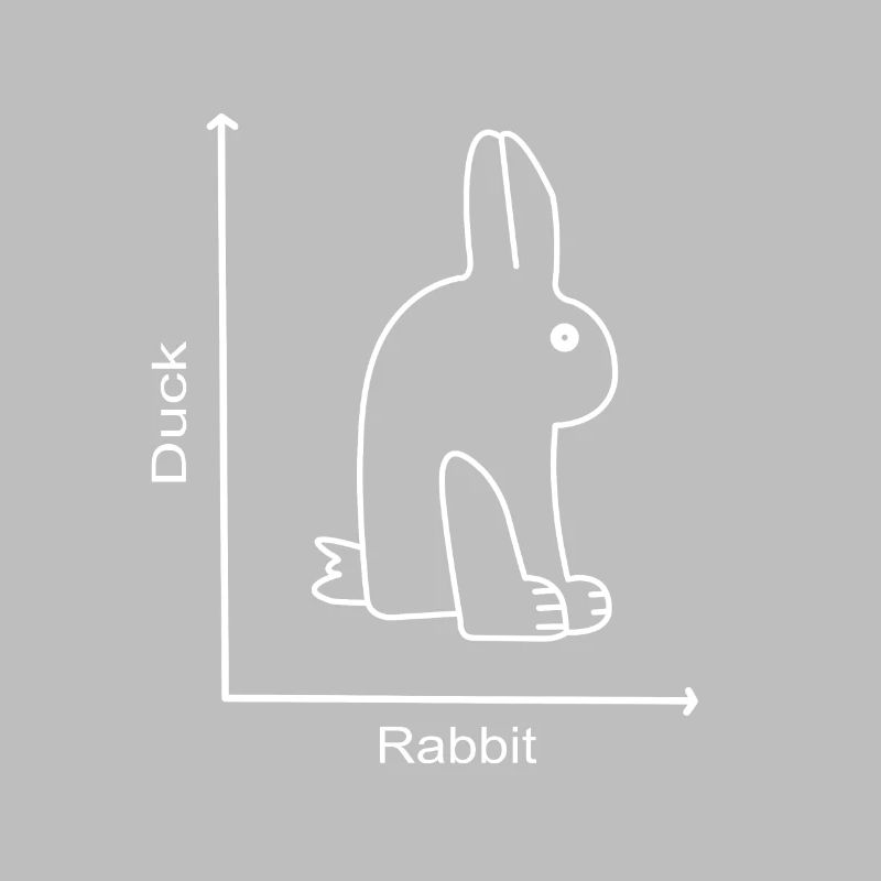 DUCK RABBIT - Rabbit Duck - Graph lesson