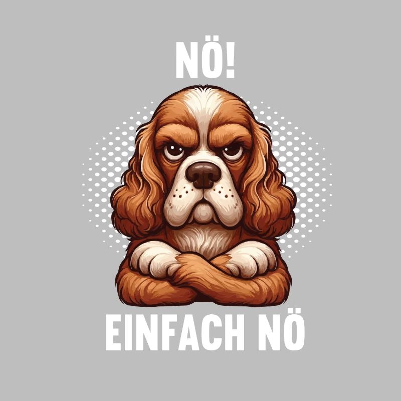 Nö Einfach Nö Cocker Spaniel Spanielbesitzer