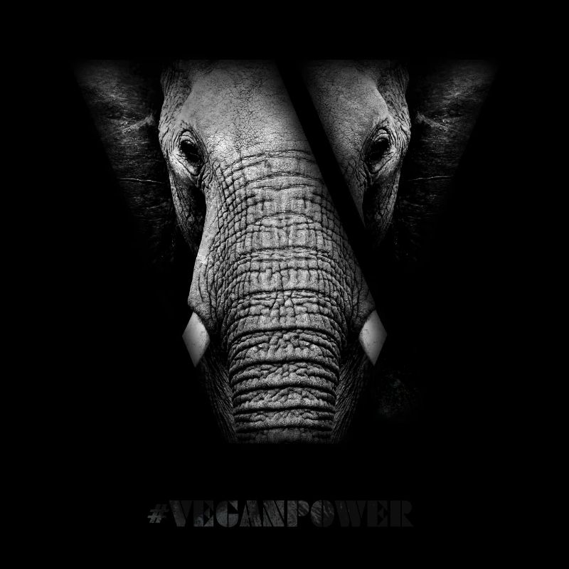 #VeganPower - Elefant