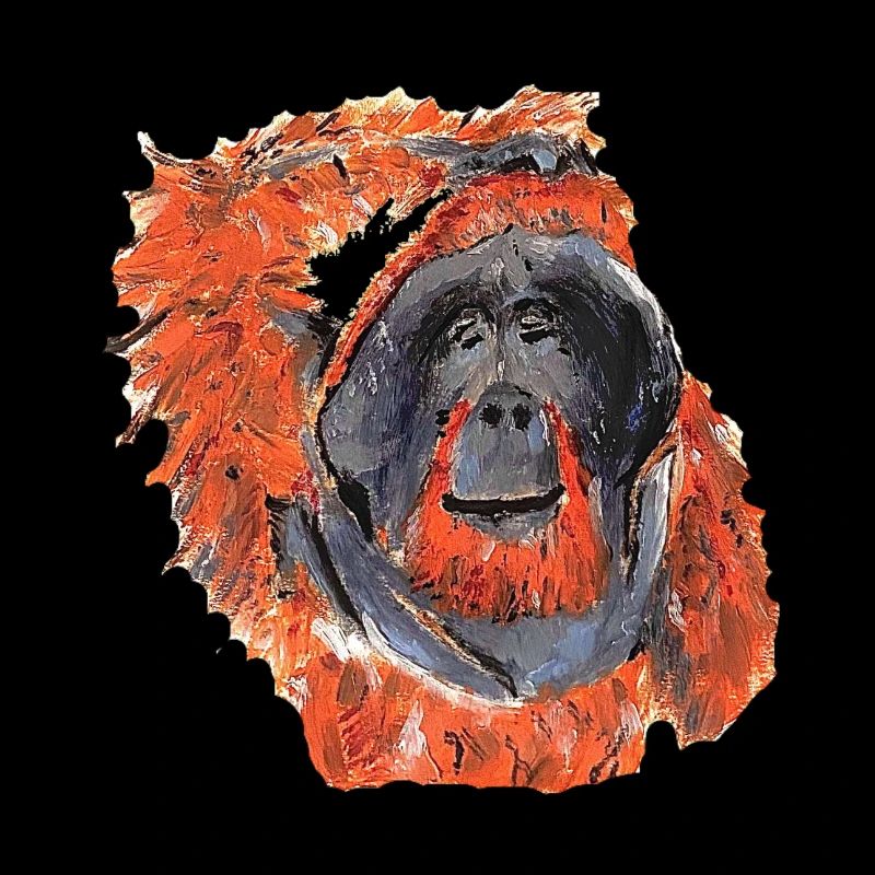 Orange Orangutan Scratching Head