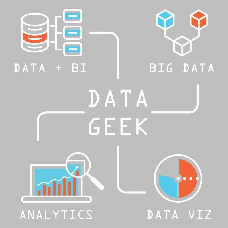 Data Geek Softwareentwickler