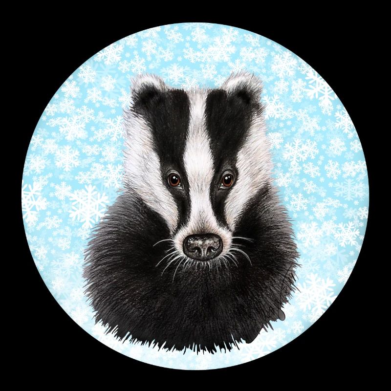 Badger/Dachs im Schnee