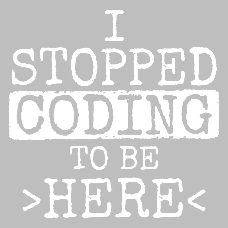 Software Ingenieur Informatiker Programmierer