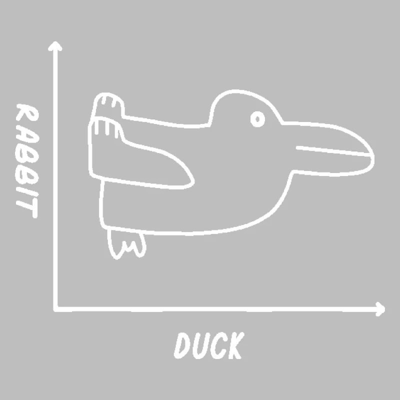 Duck Rabbit Graph Shirt - Fun Math Teacher Easter