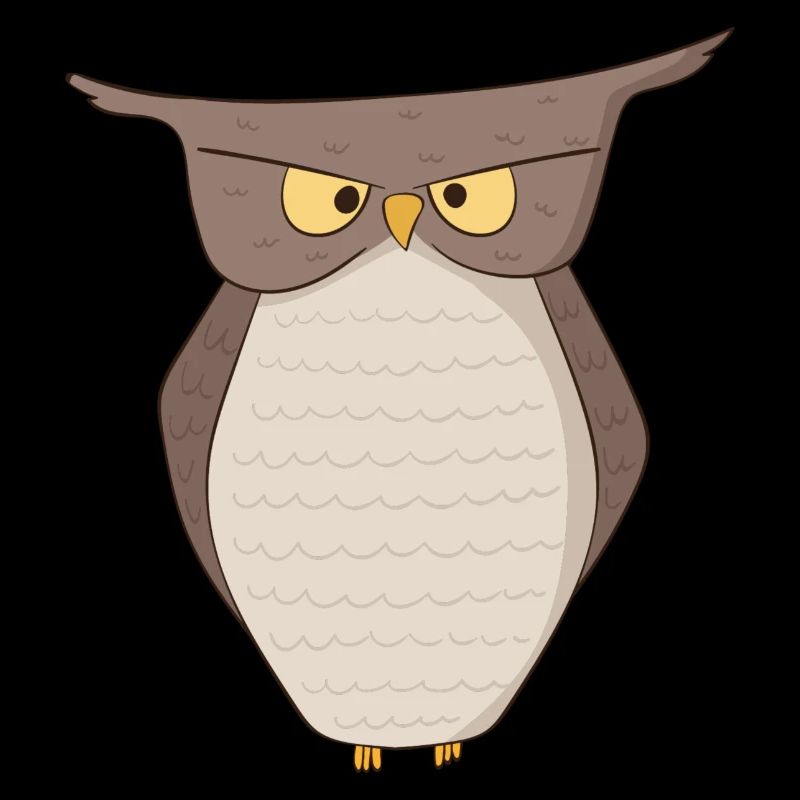 Owl Night Owls