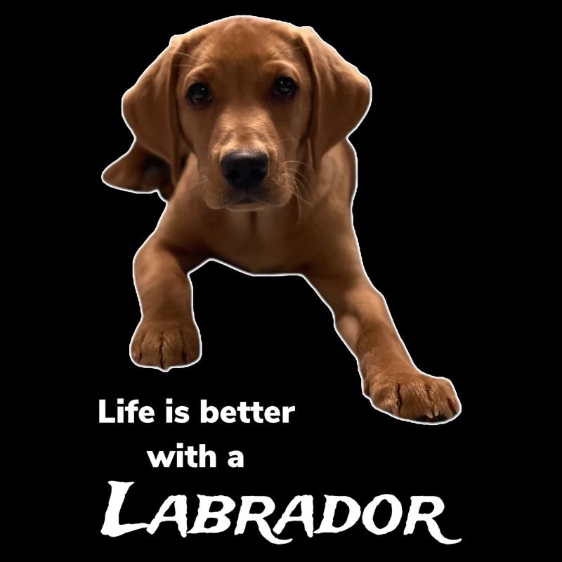 Das Leben ist besser mit einem Labrador