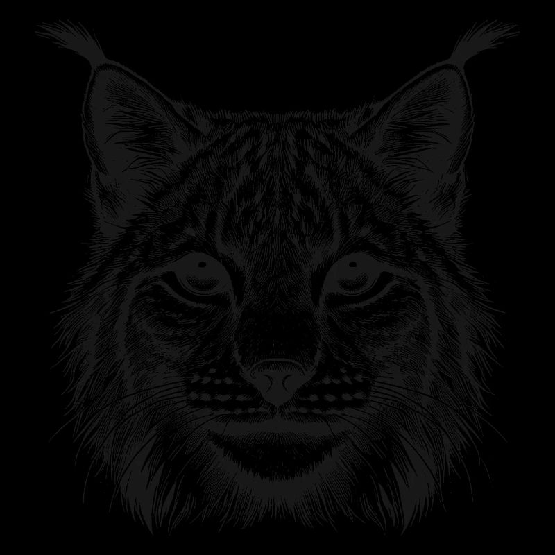 Luchs