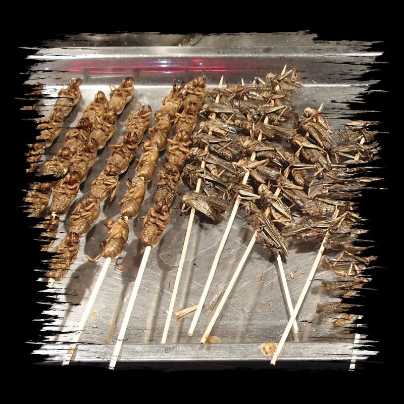 Êtes-vous prêt pour une collation d’insectes?