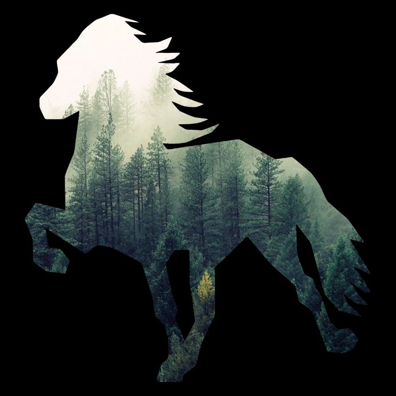 Islandpferd Forest