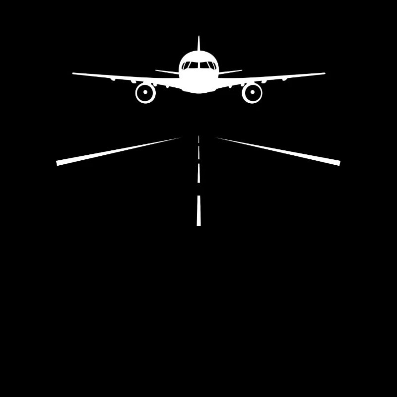 Pilot Airplane Runway Landing Flying Pilots