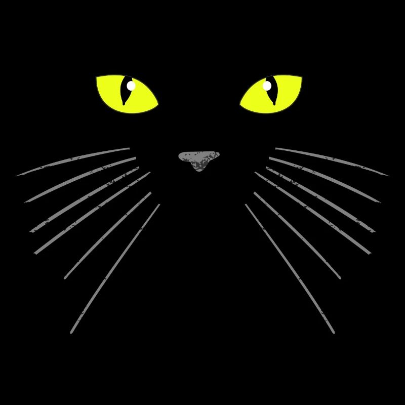 Black cat