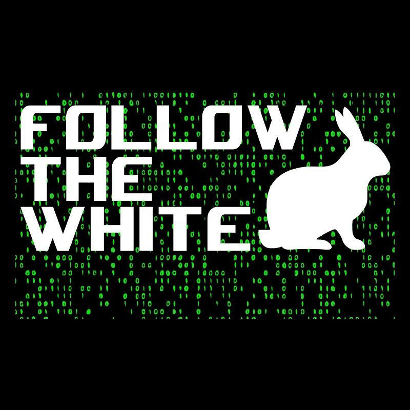 Suivez le lapin blanc!