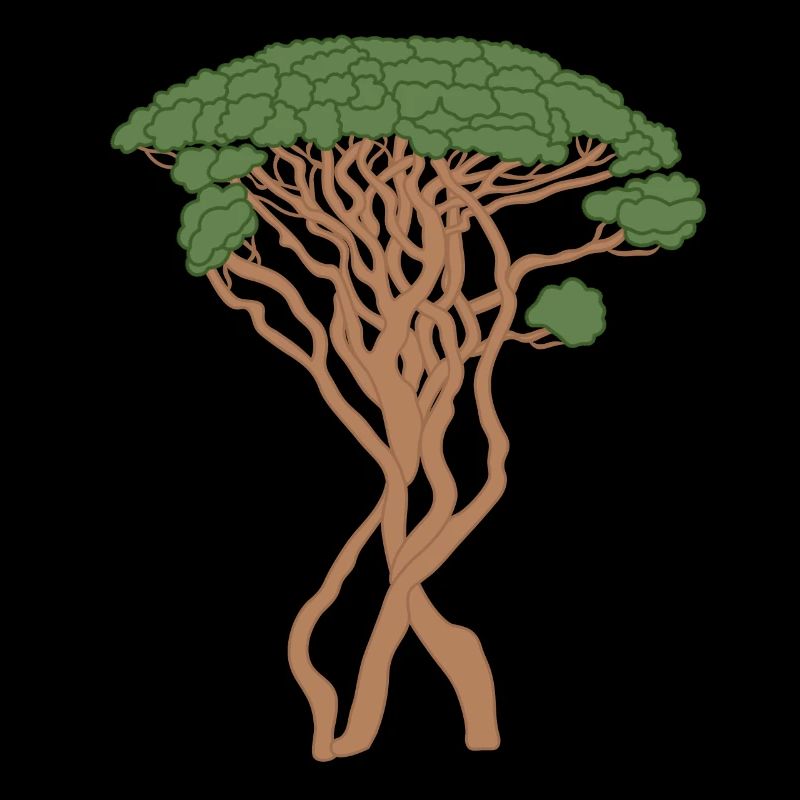 arbre, pin de Capri, pin, vert, marron, conifère