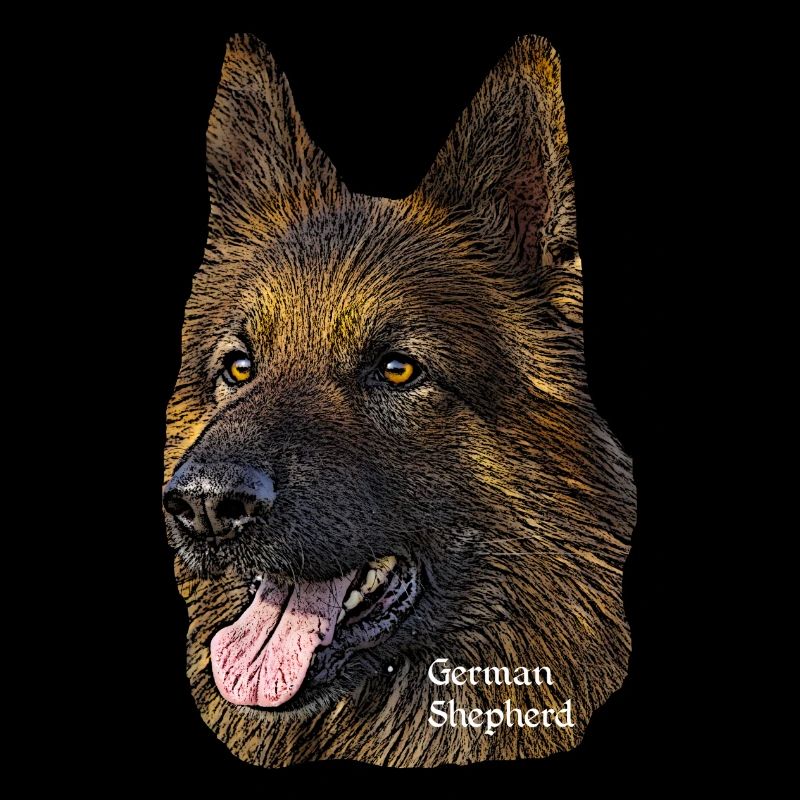 Schäferhund,Hundekopf,Deutscher Schäferhund,Hunde,