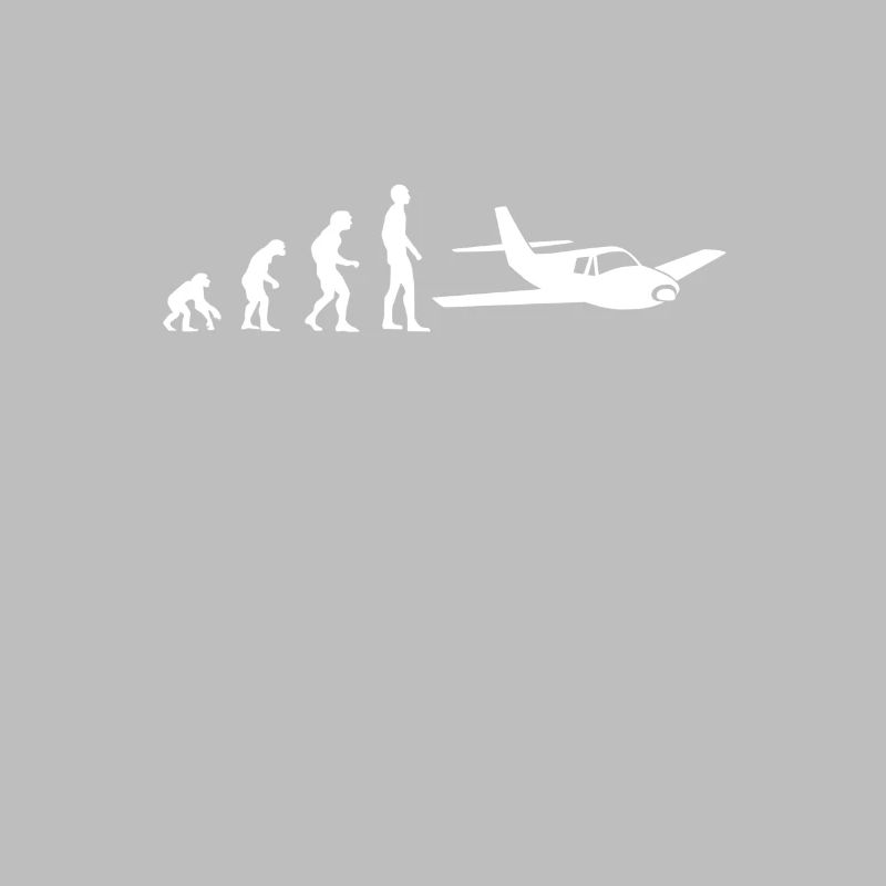 evolution pilot flugzeug